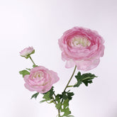 3 Heads Ranunculus Stem Pink 61cmH